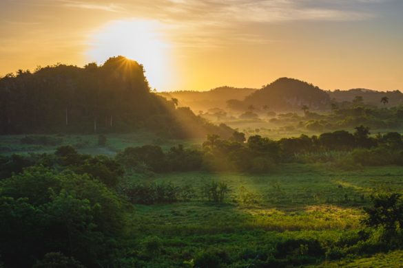 How to Build an Effective Morning Routine